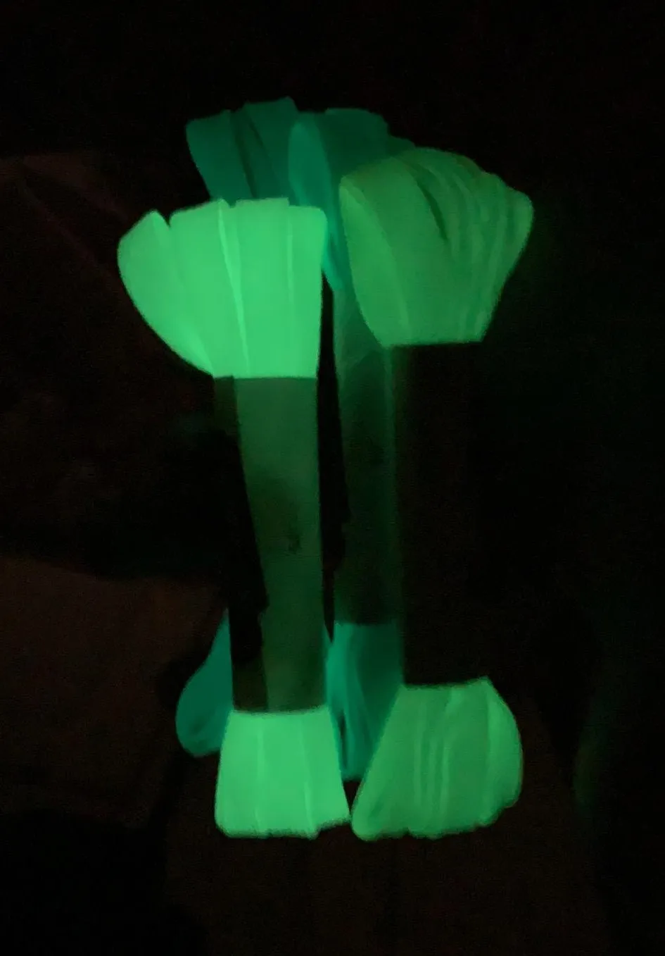 Glow in the Dark Luminous Shoelaces