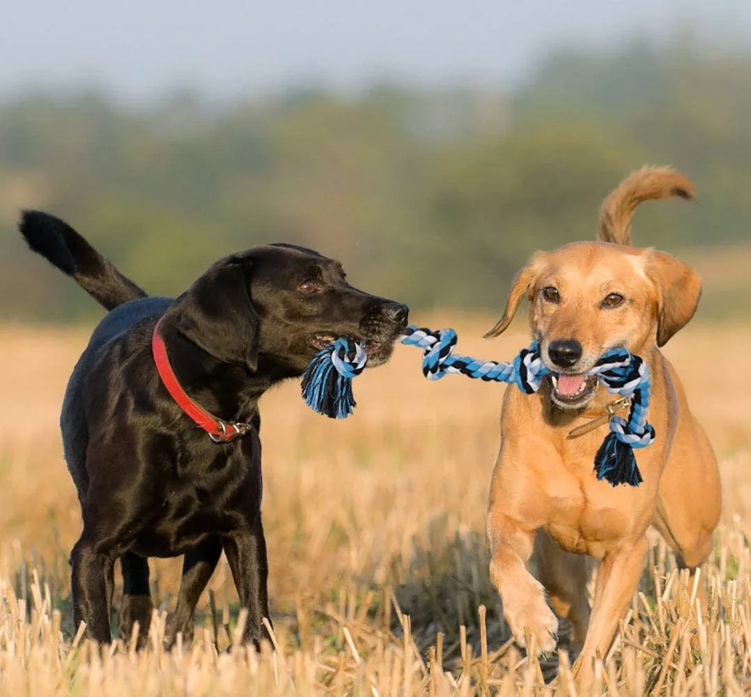 Pawfectpals Indestructible Tough Twisted Dog Chew Rope Toy Teething and Tug of War for Aggressive Chewers (5 Knots-Blue)