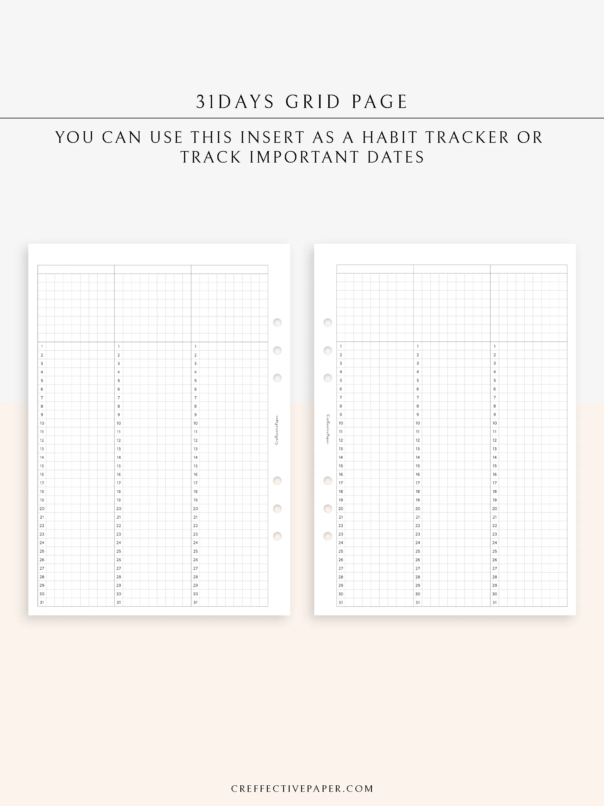 Y110 | 31Days Grid Page for Future Log & Tracker